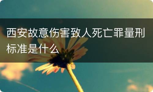 西安故意伤害致人死亡罪量刑标准是什么