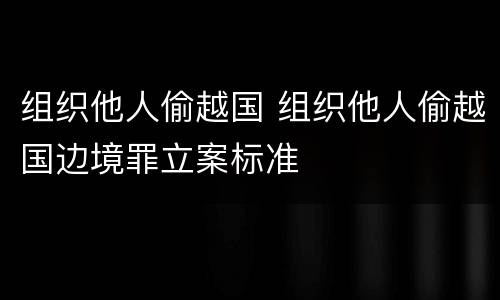 组织他人偷越国 组织他人偷越国边境罪立案标准