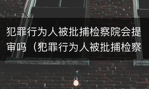 犯罪行为人被批捕检察院会提审吗（犯罪行为人被批捕检察院会提审吗）