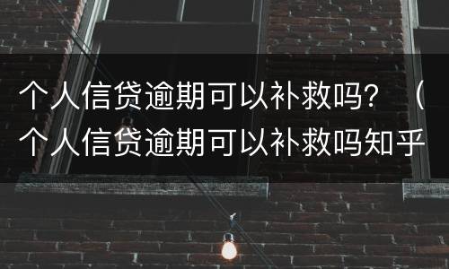 个人信贷逾期可以补救吗？（个人信贷逾期可以补救吗知乎）