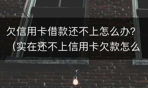欠信用卡借款还不上怎么办？（实在还不上信用卡欠款怎么办）