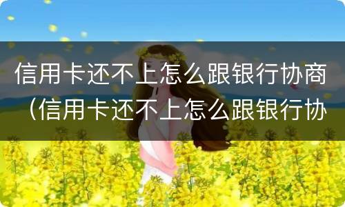 信用卡还不上怎么跟银行协商（信用卡还不上怎么跟银行协商分期还款）