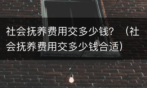 社会抚养费用交多少钱？（社会抚养费用交多少钱合适）