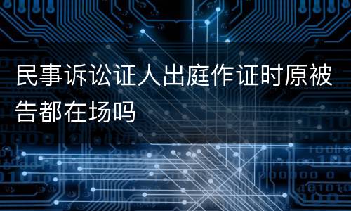 民事诉讼证人出庭作证时原被告都在场吗
