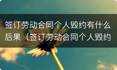 签订劳动合同个人毁约有什么后果（签订劳动合同个人毁约有什么后果嘛）