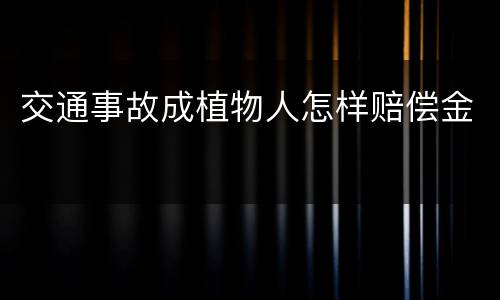 交通事故成植物人怎样赔偿金
