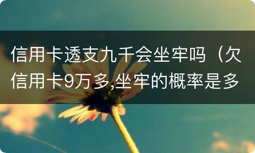 信用卡透支九千会坐牢吗（欠信用卡9万多,坐牢的概率是多大）