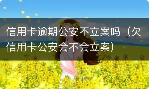 信用卡逾期公安不立案吗（欠信用卡公安会不会立案）