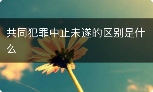 共同犯罪中止未遂的区别是什么