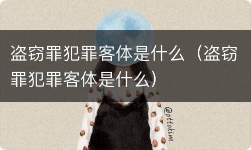 盗窃罪犯罪客体是什么（盗窃罪犯罪客体是什么）