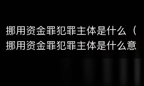 挪用资金罪犯罪主体是什么（挪用资金罪犯罪主体是什么意思）