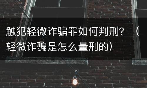 触犯轻微诈骗罪如何判刑？（轻微诈骗是怎么量刑的）