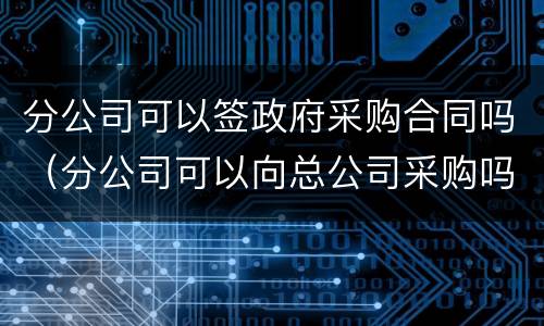 分公司可以签政府采购合同吗（分公司可以向总公司采购吗）