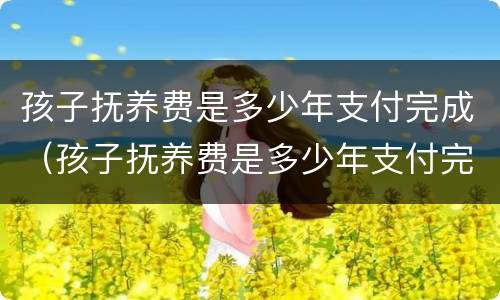 孩子抚养费是多少年支付完成（孩子抚养费是多少年支付完成的）