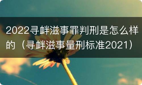 2022寻衅滋事罪判刑是怎么样的（寻衅滋事量刑标准2021）