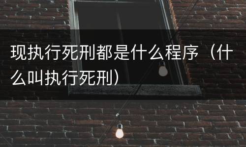 现执行死刑都是什么程序（什么叫执行死刑）