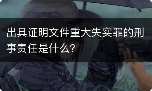 出具证明文件重大失实罪的刑事责任是什么？