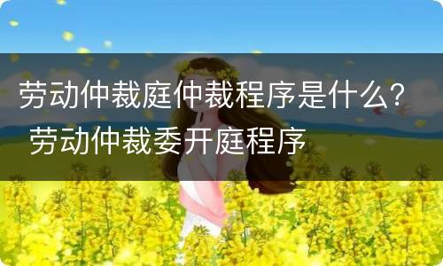 劳动仲裁庭仲裁程序是什么？ 劳动仲裁委开庭程序
