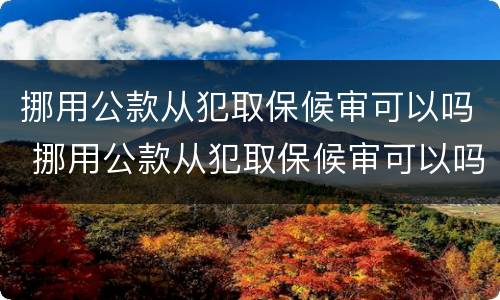 挪用公款从犯取保候审可以吗 挪用公款从犯取保候审可以吗怎么处理