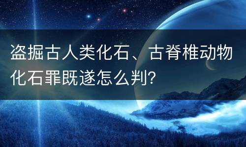 盗掘古人类化石、古脊椎动物化石罪既遂怎么判？