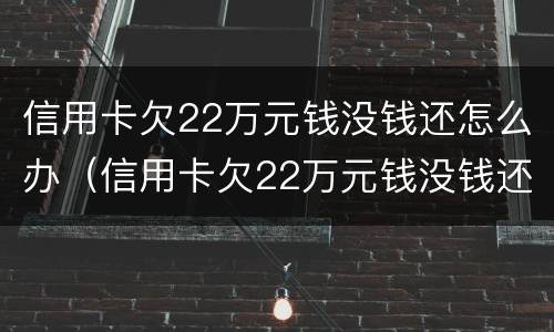 信用卡欠22万元钱没钱还怎么办（信用卡欠22万元钱没钱还怎么办呀）