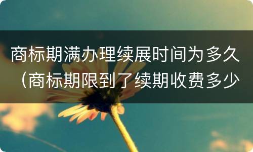 商标期满办理续展时间为多久（商标期限到了续期收费多少）
