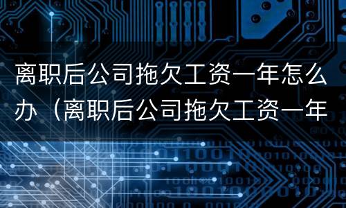 离职后公司拖欠工资一年怎么办（离职后公司拖欠工资一年可以要求的赔偿）