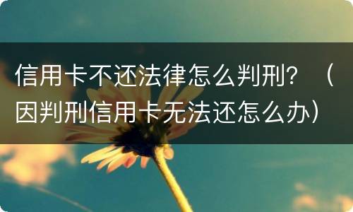 信用卡不还法律怎么判刑？（因判刑信用卡无法还怎么办）