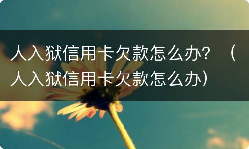 人入狱信用卡欠款怎么办？（人入狱信用卡欠款怎么办）