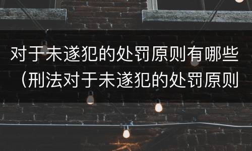 对于未遂犯的处罚原则有哪些（刑法对于未遂犯的处罚原则是什么）