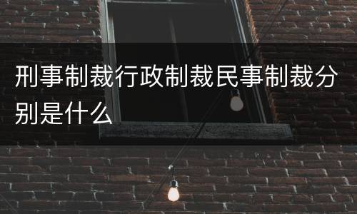 刑事制裁行政制裁民事制裁分别是什么