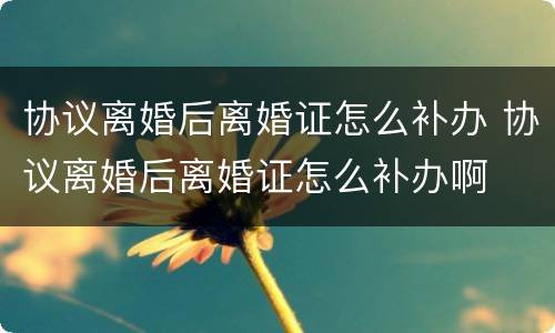 协议离婚后离婚证怎么补办 协议离婚后离婚证怎么补办啊