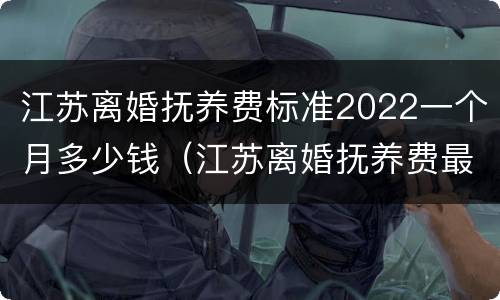 江苏离婚抚养费标准2022一个月多少钱（江苏离婚抚养费最低标准）