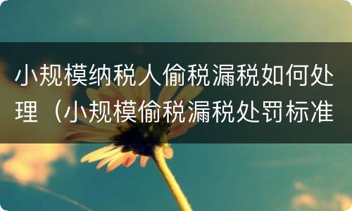 小规模纳税人偷税漏税如何处理（小规模偷税漏税处罚标准2019）