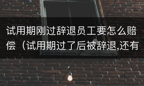 试用期刚过辞退员工要怎么赔偿（试用期过了后被辞退,还有工资吗?）
