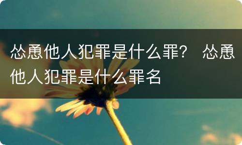 怂恿他人犯罪是什么罪？ 怂恿他人犯罪是什么罪名
