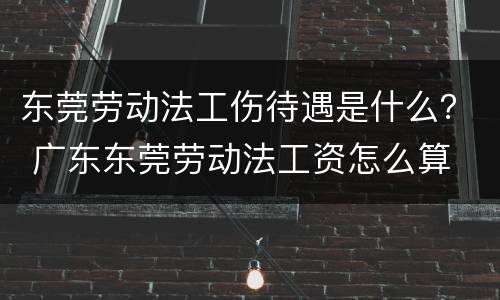 东莞劳动法工伤待遇是什么？ 广东东莞劳动法工资怎么算