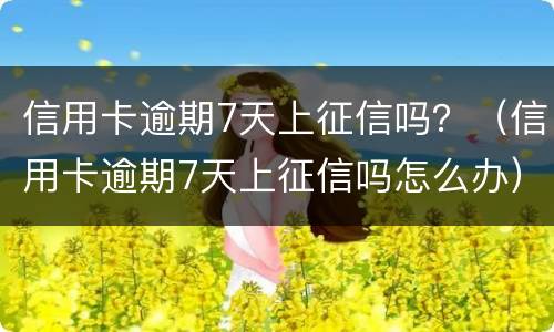 信用卡逾期7天上征信吗？（信用卡逾期7天上征信吗怎么办）
