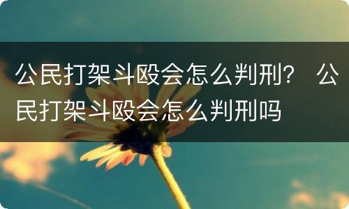 公民打架斗殴会怎么判刑？ 公民打架斗殴会怎么判刑吗