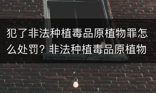犯了非法种植毒品原植物罪怎么处罚? 非法种植毒品原植物罪量刑指导意见