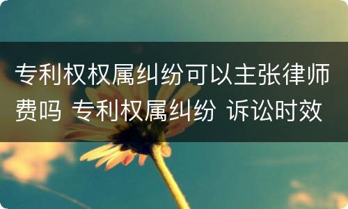 专利权权属纠纷可以主张律师费吗 专利权属纠纷 诉讼时效
