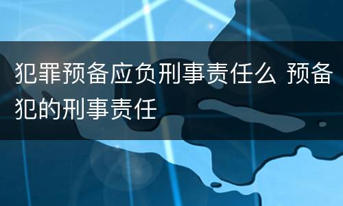 犯罪预备应负刑事责任么 预备犯的刑事责任