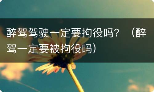 醉驾驾驶一定要拘役吗？（醉驾一定要被拘役吗）