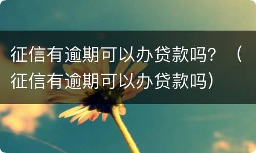 征信有逾期可以办贷款吗？（征信有逾期可以办贷款吗）