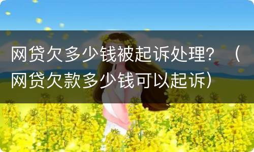 网贷欠多少钱被起诉处理？（网贷欠款多少钱可以起诉）