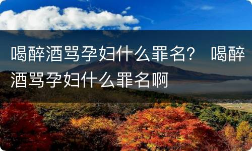喝醉酒骂孕妇什么罪名？ 喝醉酒骂孕妇什么罪名啊