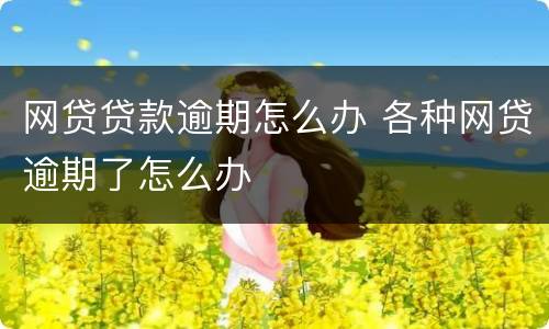 网贷贷款逾期怎么办 各种网贷逾期了怎么办