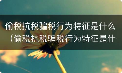 偷税抗税骗税行为特征是什么（偷税抗税骗税行为特征是什么意思）