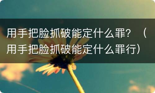 用手把脸抓破能定什么罪？（用手把脸抓破能定什么罪行）