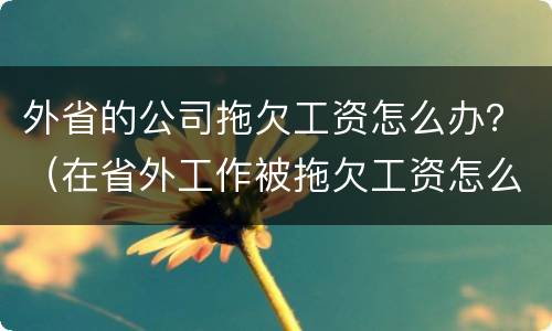 外省的公司拖欠工资怎么办？（在省外工作被拖欠工资怎么办）